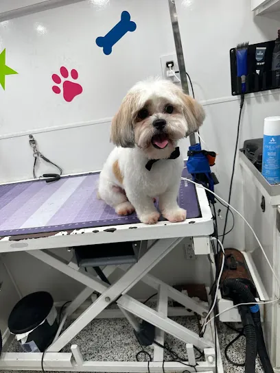 Woof Mobile Dog Grooming West Palm Beach — photo from their website