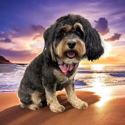 Pet Inn Mobile Grooming — photo from their website