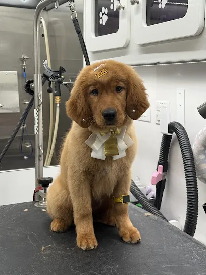 I Love My Pets | Mobile Grooming — photo from their website