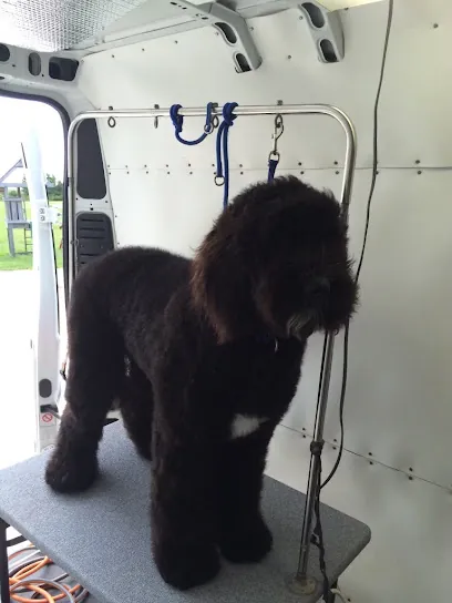 Art’s mobile dog grooming — photo from their website