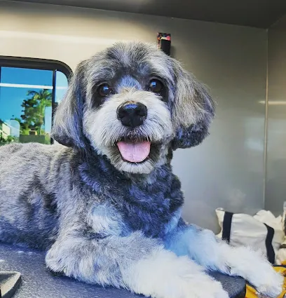 Backyard Paws, LLC — photo from their website