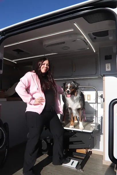 Diamond in the Ruff Mobile Grooming — photo from their website