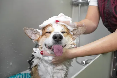 Wanda's Woof Waggin Mobile Pet Salon — photo from their website