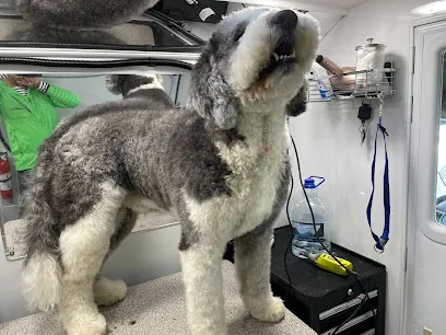 Groombuggy Mobile Dog Grooming — photo from their website