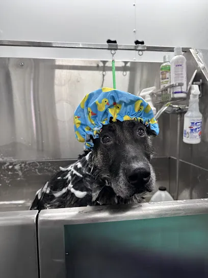 Peace Love & Paws Mobile Grooming Spas — photo from their website