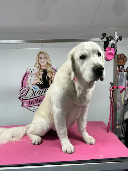 Mobile Grooming -Diamond in The Ruff Mobile Luxury Pet Spa — photo from their website