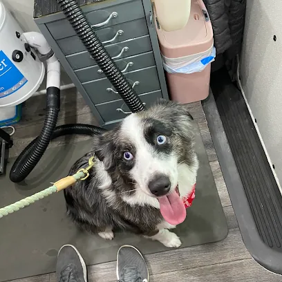 Pink Poodle Mobile Grooming — photo from their website