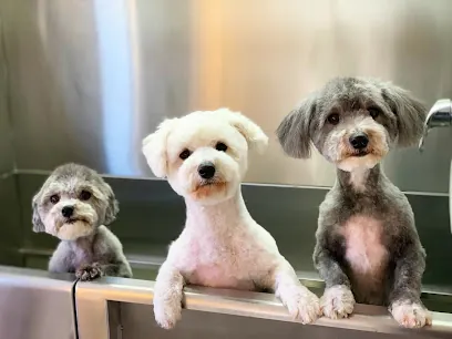The Pink Pawlor Luxury Mobile Grooming — photo from their website
