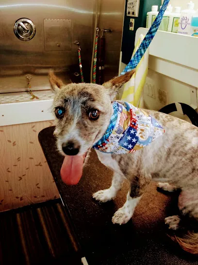 Phoenix Mobile Groom — photo from their website