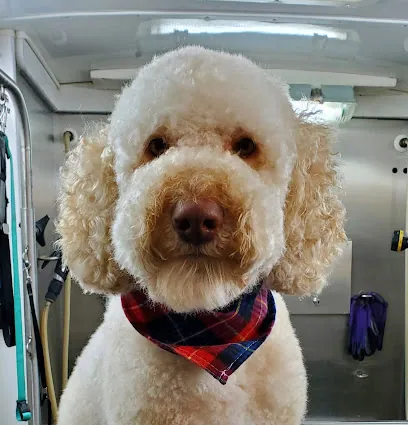 Sherpa Dog Mobile Grooming — photo from their website