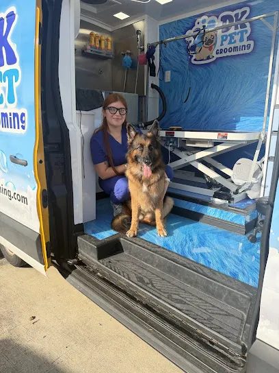 DK PET GROOMING MOBILE HOUSTON TX — photo from their website