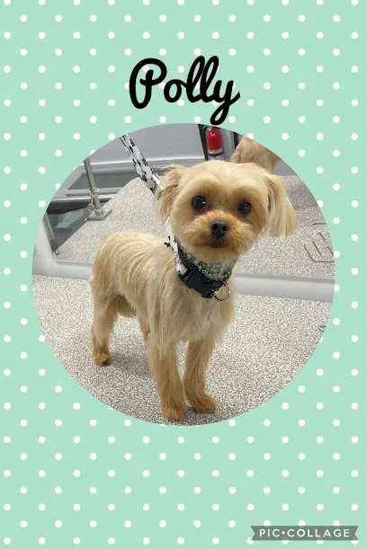 Amy's Pampered Pooch Mobile Grooming — photo from their website