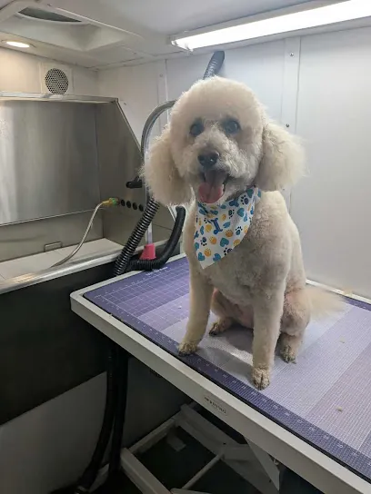 Pawgo Mobile Grooming Mesa — photo from their website