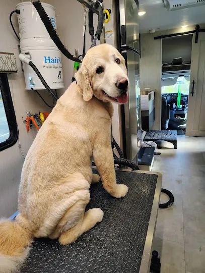 The Dog Lady Mobile Pet Salon LLC — photo from their website