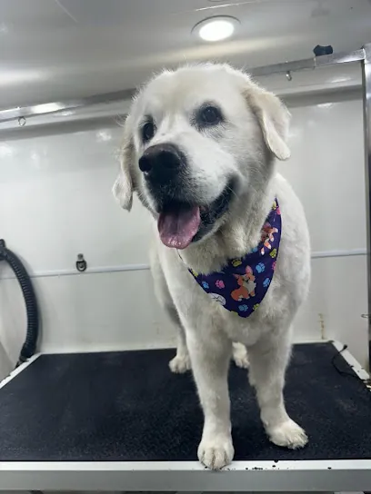South Miami Mobile Pet Grooming — photo from their website