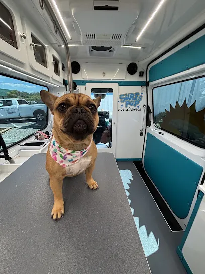 Surfs Pup Mobile Pawlor — photo from their website