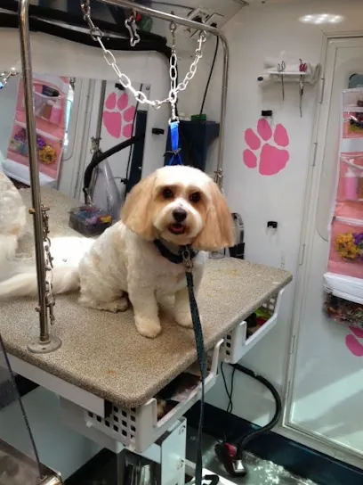 Happy Dog Productions Mobile Grooming — photo from their website