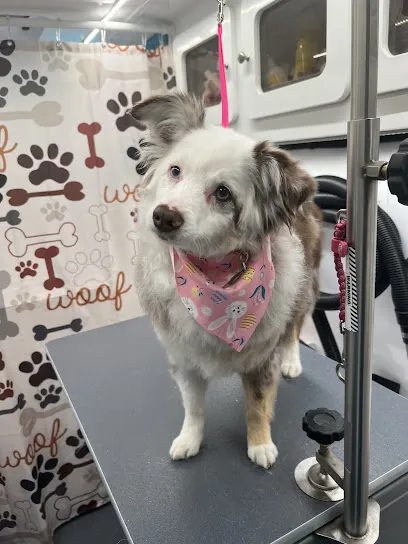 Fur The Love Mobile Grooming — photo from their website
