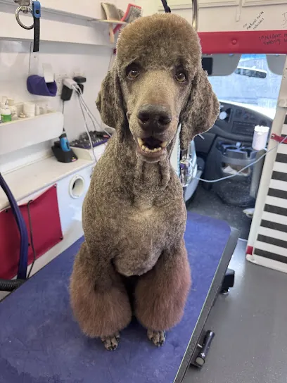 Classy Canine Clips MOBILE Dog Grooming — photo from their website