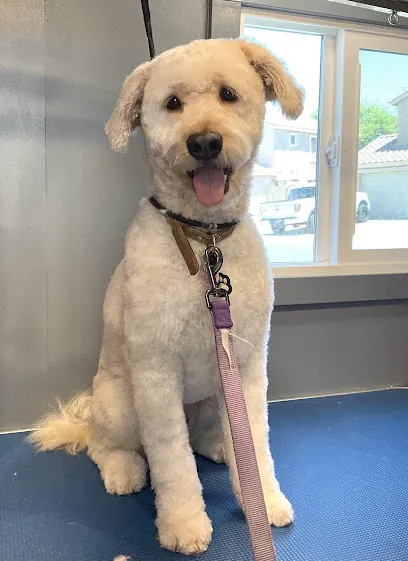 Oscar’s Mobile Pet Grooming, LLC — photo from their website