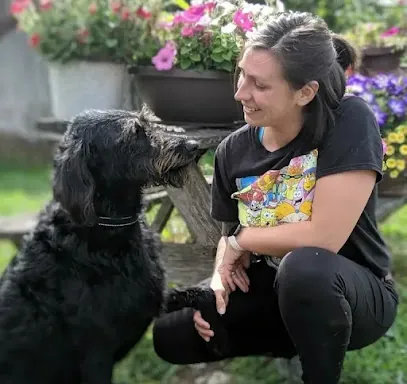 Healthy Paws Mobile — photo from their website