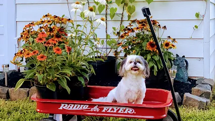 For the Love of Dogs Mobile Grooming — photo from their website