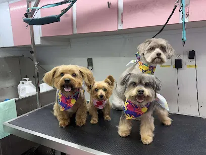 Alice mobile pet grooming prestige — photo from their website