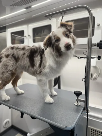 DapperTails Mobile Pet Grooming of East Suffolk — photo from their website