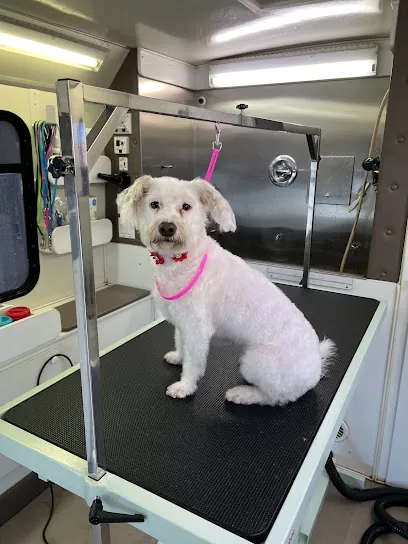 Paws and Claws Mobile Pet Spa — photo from their website