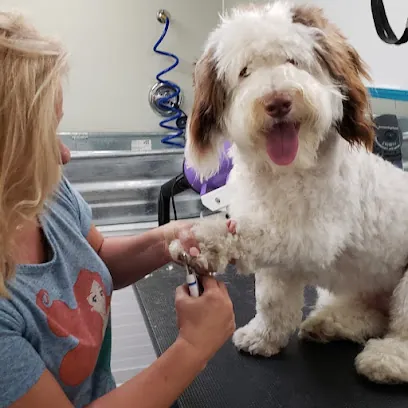 Milo''s Mobile Dog Grooming — business logo from Google