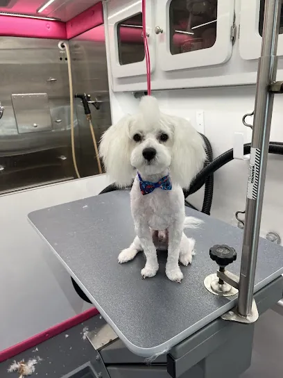 Just Around the Corner Mobile Pet Spa — photo from their website