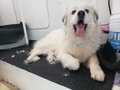 Detail Dog Mobile Grooming — photo from their website