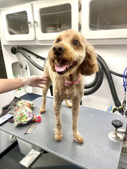 In Style Mobile Dog Spa — photo from their website