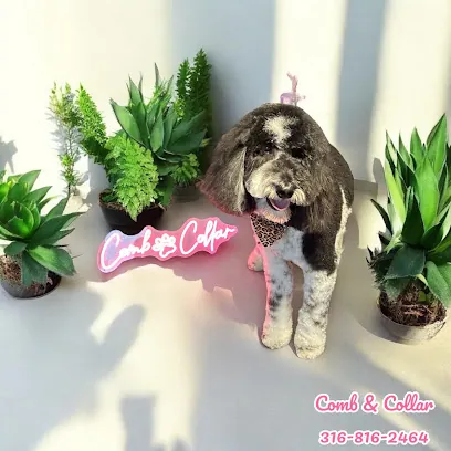 Comb & Collar Professional Mobile Pet Grooming — photo from their website