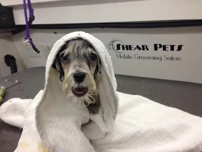 Shear Pets Mobile Cat & Dog Grooming salon — photo from their website