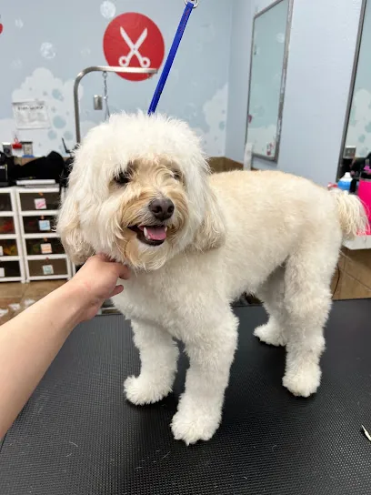 Only Paws Mobile Dog Grooming — photo from their website