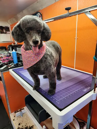 Hot Dog Grooming NJ mobile grooming — photo from their website