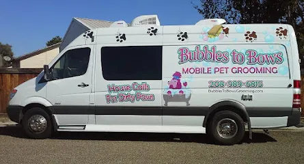 Bubbles To Bows Mobile Pet Grooming — photo from their website