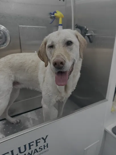 Fluffy Pet Wash Mobile Grooming Las Vegas — photo from their website
