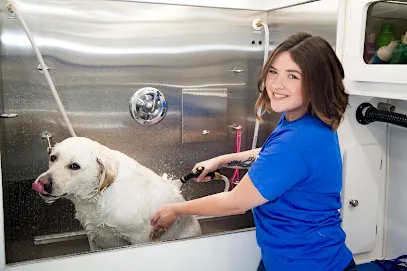 Barkbus Mobile Dog Grooming — photo from their website