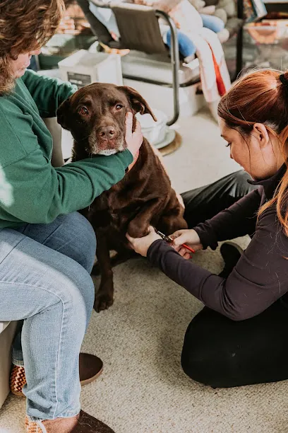 Kind Claws, LLC Mobile Veterinary Technician — photo from their website