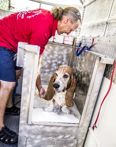The Pooch Mobile Dog Wash Gilbert East — photo from their website