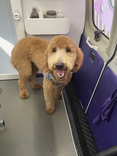 Vanessa's Pretty Pups Mobile Grooming — photo from their website