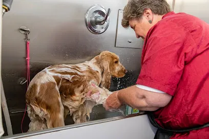 Heritage Mobile Grooming — photo from their website