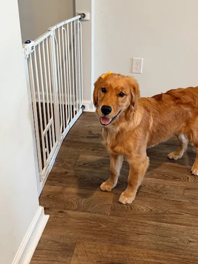 Baci & Buca Luxury Mobile Pet Spa — photo from their website