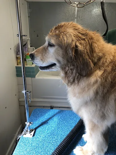 Jersey Shore Mobile Pet Grooming — photo from their website