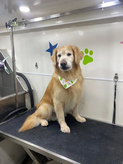 V&M Mobile Pet Grooming of Cooper City — photo from their website