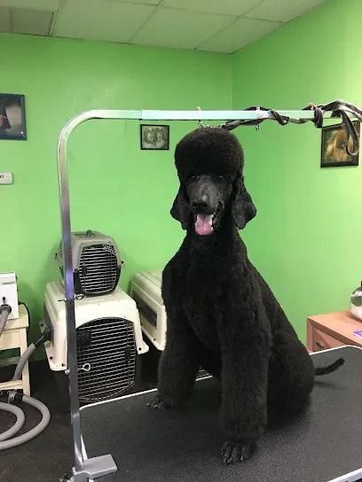 Jeff Campbell Mobile Pet Grooming — business logo from Google