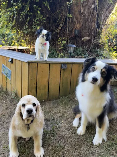 Bridget's Mobile Pet Grooming Co. — photo from their website
