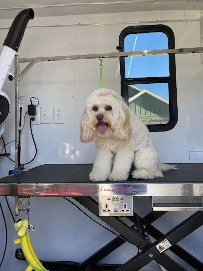 Mobile Pet Salon K9 Clips by Selina — business logo from Google